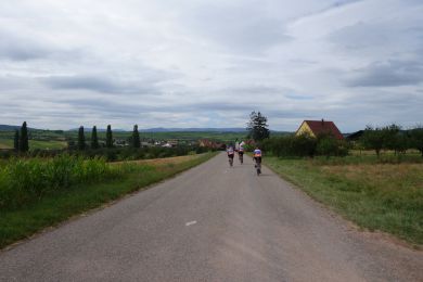 cyclistes roulant à travers le terroir alsacien
